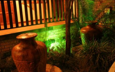 Local Plant Nurseries